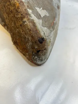 Vespa Sprint Gepäckfach links Seitenhaube Backe (42z) - Bild 2